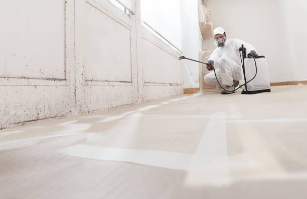 24/7 Emergency Mold Testing experts in Lewistown, PA