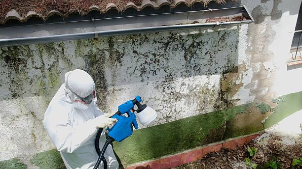 Trusted Crawl Space Mold Removal service in Lewistown, PA - Cheap Mold Removal